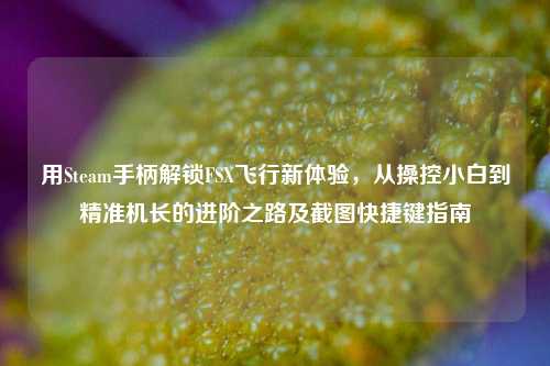用Steam手柄解锁FSX飞行新体验,从操控小白到精准机长的进阶之路及截图快捷键指南