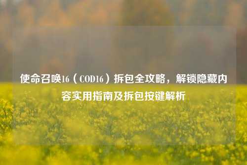 使命召唤16(COD16)拆包全攻略,解锁隐藏内容实用指南及拆包按键解析
