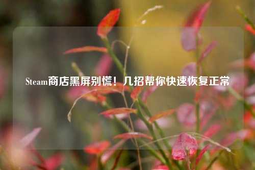 Steam商店黑屏别慌!几招帮你快速恢复正常