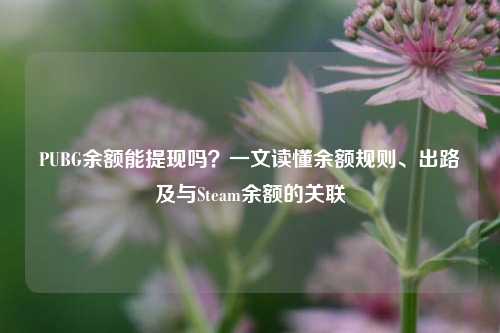 PUBG余额能提现吗?一文读懂余额规则、出路及与Steam余额的关联