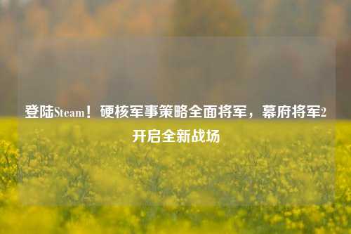 登陆Steam!硬核军事策略全面将军,幕府将军2开启全新战场
