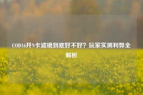 COD16开N卡滤镜到底好不好?玩家实测利弊全解析