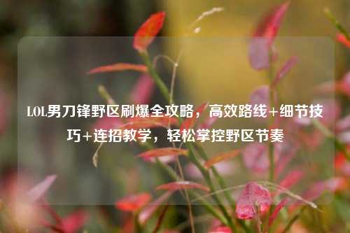 LOL男刀锋野区刷爆全攻略,高效路线+细节技巧+连招教学,轻松掌控野区节奏
