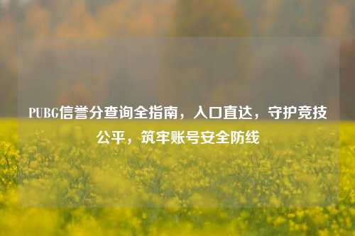 PUBG信誉分查询全指南，入口直达，守护竞技公平，筑牢账号安全防线