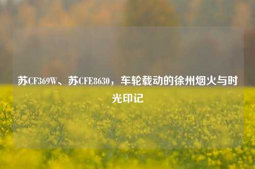 苏CF369W、苏CFE8630，车轮载动的徐州烟火与时光印记