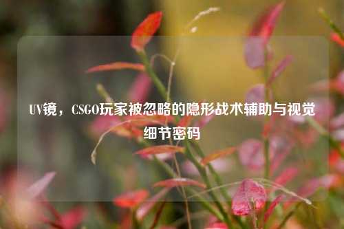 UV镜，CSGO玩家被忽略的隐形战术辅助与视觉细节密码