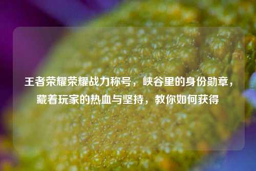 王者荣耀荣耀战力称号，峡谷里的身份勋章，藏着玩家的热血与坚持，教你如何获得