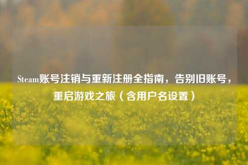 Steam账号注销与重新注册全指南,告别旧账号,重启游戏之旅(含用户名设置)