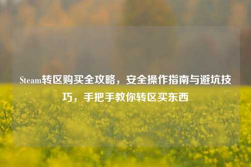 Steam转区购买全攻略,安全操作指南与避坑技巧,手把手教你转区买东西