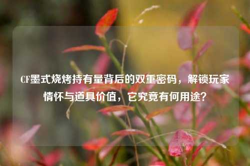 CF墨式烧烤持有量背后的双重密码,解锁玩家情怀与道具价值,它究竟有何用途?
