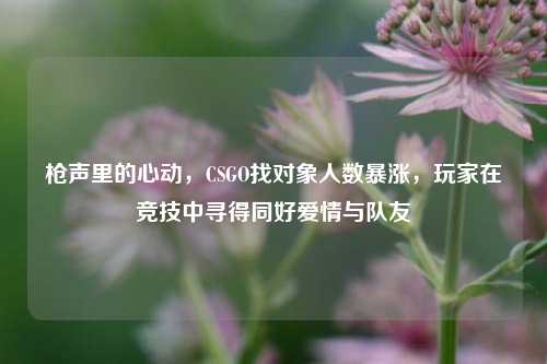 枪声里的心动,CSGO找对象人数暴涨,玩家在竞技中寻得同好爱情与队友