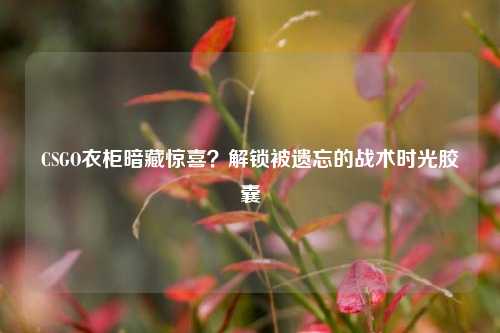 CSGO衣柜暗藏惊喜？解锁被遗忘的战术时光胶囊