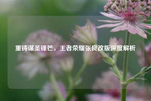 重铸谋圣锋芒,王者荣耀张良改版深度解析