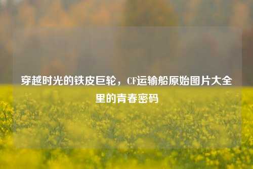 穿越时光的铁皮巨轮，CF运输船原始图片大全里的青春密码