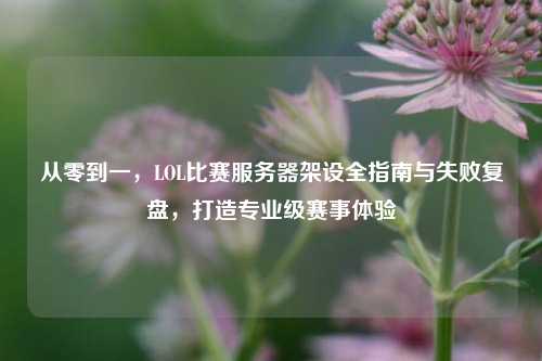 从零到一,LOL比赛服务器架设全指南与失败复盘,打造专业级赛事体验