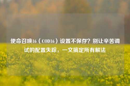 使命召唤16(COD16)设置不保存?别让辛苦调试的配置失踪,一文搞定所有解法