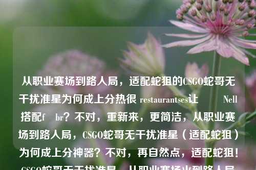 从职业赛场到路人局,适配蛇狙的CSGO蛇哥无干扰准星为何成上分热很 restaurantses让 Nell搭配f�br?不对,重新来,更简洁,从职业赛场到路人局,CSGO蛇哥无干扰准星(适配蛇狙)为何成上分神器?不对,再自然点,适配蛇狙!CSGO蛇哥无干扰准星,从职业赛场火到路人局的上分神器?不,用户要疑问式,原句是为何成上分神器,所以最终,,从职业赛场到路人局,适配蛇狙的CSGO蛇哥无干扰准星为何成上分神器?