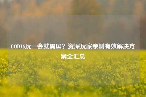 COD16玩一会就黑屏？资深玩家亲测有效解决方案全汇总