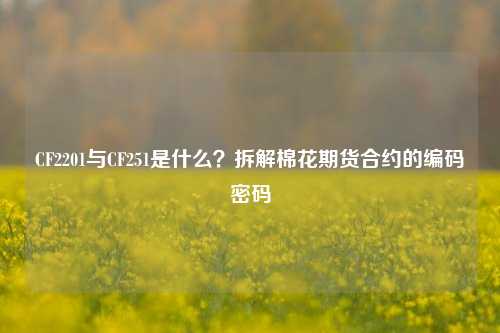 CF2201与CF251是什么?拆解棉花期货合约的编码密码