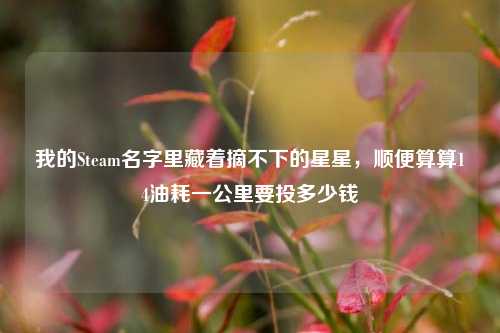 我的Steam名字里藏着摘不下的星星,顺便算算14油耗一公里要投多少钱