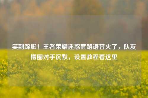 笑到跺脚!王者荣耀迷惑套路语音火了,队友懵圈对手沉默,设置教程看这里