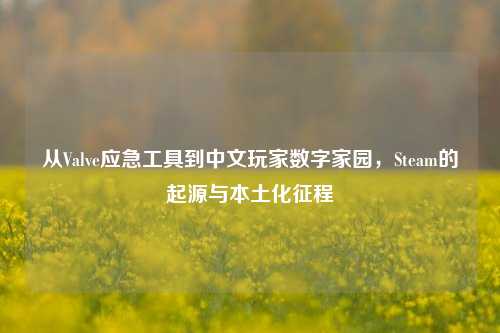 从Valve应急工具到中文玩家数字家园,Steam的起源与本土化征程