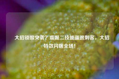 暃大招锁喉突袭?虞姬二技能逼退刺客,大招特效闪瞎全场!