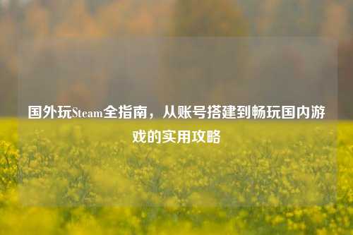 国外玩Steam全指南,从账号搭建到畅玩国内游戏的实用攻略