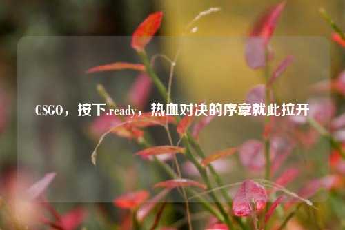 CSGO,按下.ready,热血对决的序章就此拉开