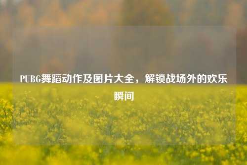 PUBG舞蹈动作及图片大全，解锁战场外的欢乐瞬间