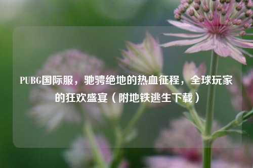 PUBG国际服,驰骋绝地的热血征程,全球玩家的狂欢盛宴(附地铁逃生下载)