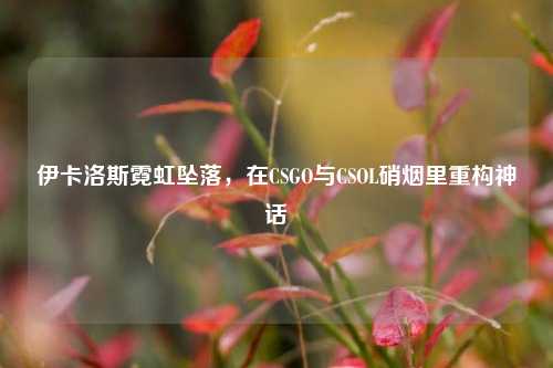 伊卡洛斯霓虹坠落,在CSGO与CSOL硝烟里重构神话
