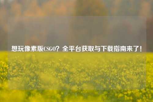 想玩像素版CSGO?全平台获取与下载指南来了!