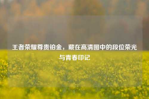 王者荣耀尊贵铂金，藏在高清图中的段位荣光与青春印记