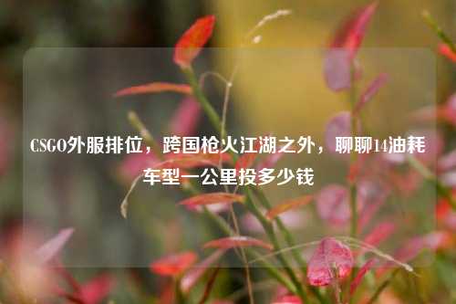 CSGO外服排位，跨国枪火江湖之外，聊聊14油耗车型一公里投多少钱