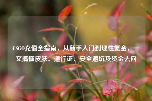 CSGO充值全指南,从新手入门到理性氪金,一文搞懂皮肤、通行证、安全避坑及资金去向