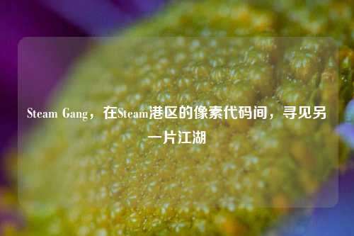 Steam Gang，在Steam港区的像素代码间，寻见另一片江湖