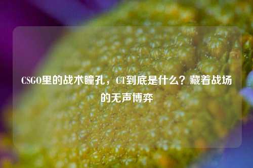 CSGO里的战术瞳孔,CT到底是什么?藏着战场的无声博弈