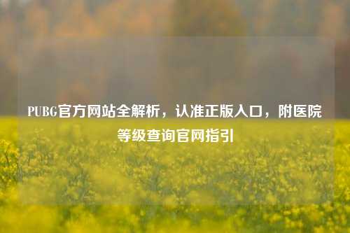 PUBG官方网站全解析,认准正版入口,附医院等级查询官网指引