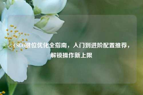 CSGO键位优化全指南，入门到进阶配置推荐，解锁操作新上限