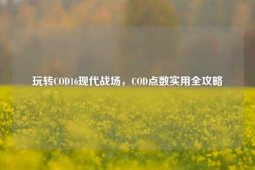 玩转COD16现代战场,COD点数实用全攻略