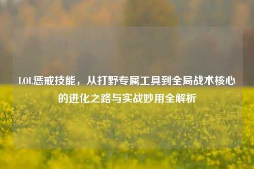 LOL惩戒技能,从打野专属工具到全局战术核心的进化之路与实战妙用全解析