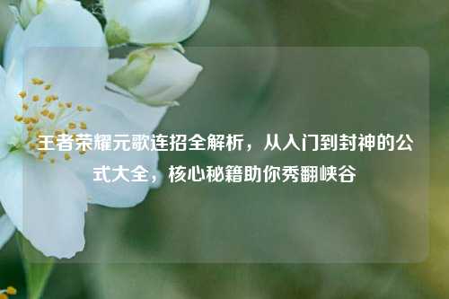 王者荣耀元歌连招全解析,从入门到封神的公式大全,核心秘籍助你秀翻峡谷