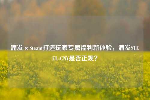 浦发×Steam打造玩家专属福利新体验,浦发STEEL-CNY是否正规?