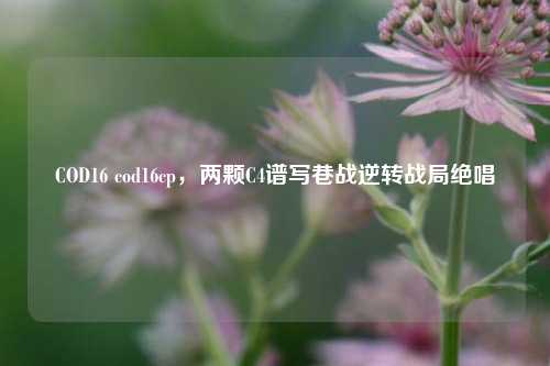 COD16 cod16cp,两颗C4谱写巷战逆转战局绝唱
