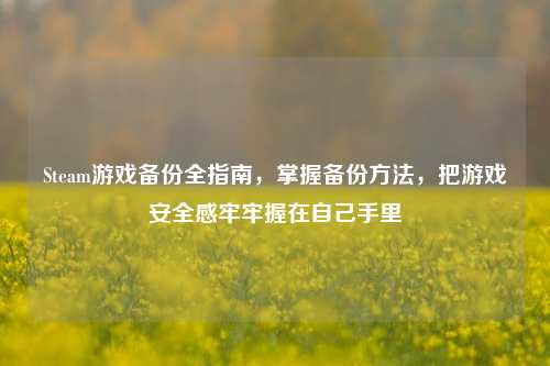 Steam游戏备份全指南,掌握备份方法,把游戏安全感牢牢握在自己手里