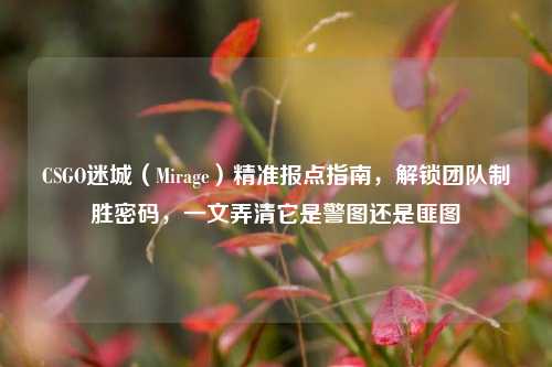CSGO迷城(Mirage)精准报点指南,解锁团队制胜密码,一文弄清它是警图还是匪图