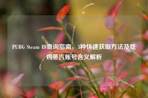 PUBG Steam ID查询指南,3种快速获取方法及吃鸡蒸汽账号含义解析
