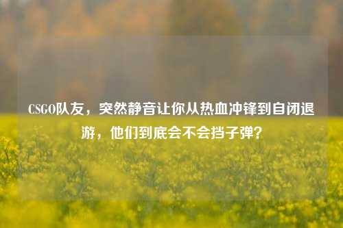 CSGO队友,突然静音让你从热血冲锋到自闭退游,他们到底会不会挡子弹?