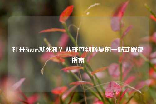 打开Steam就死机？从排查到修复的一站式解决指南
